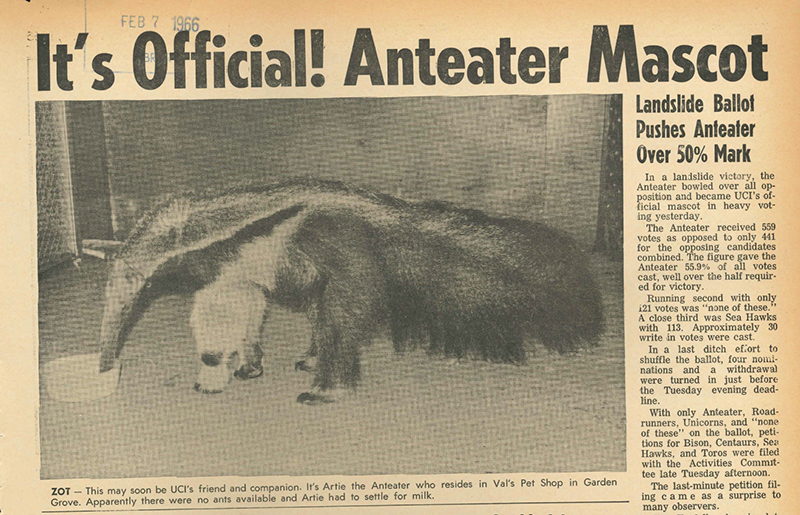 anteater_newspaper